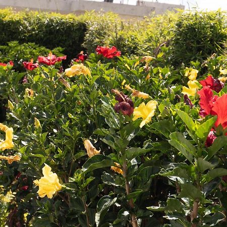 Hospedaje El Girasol Tababela Quito Eksteriør bilde