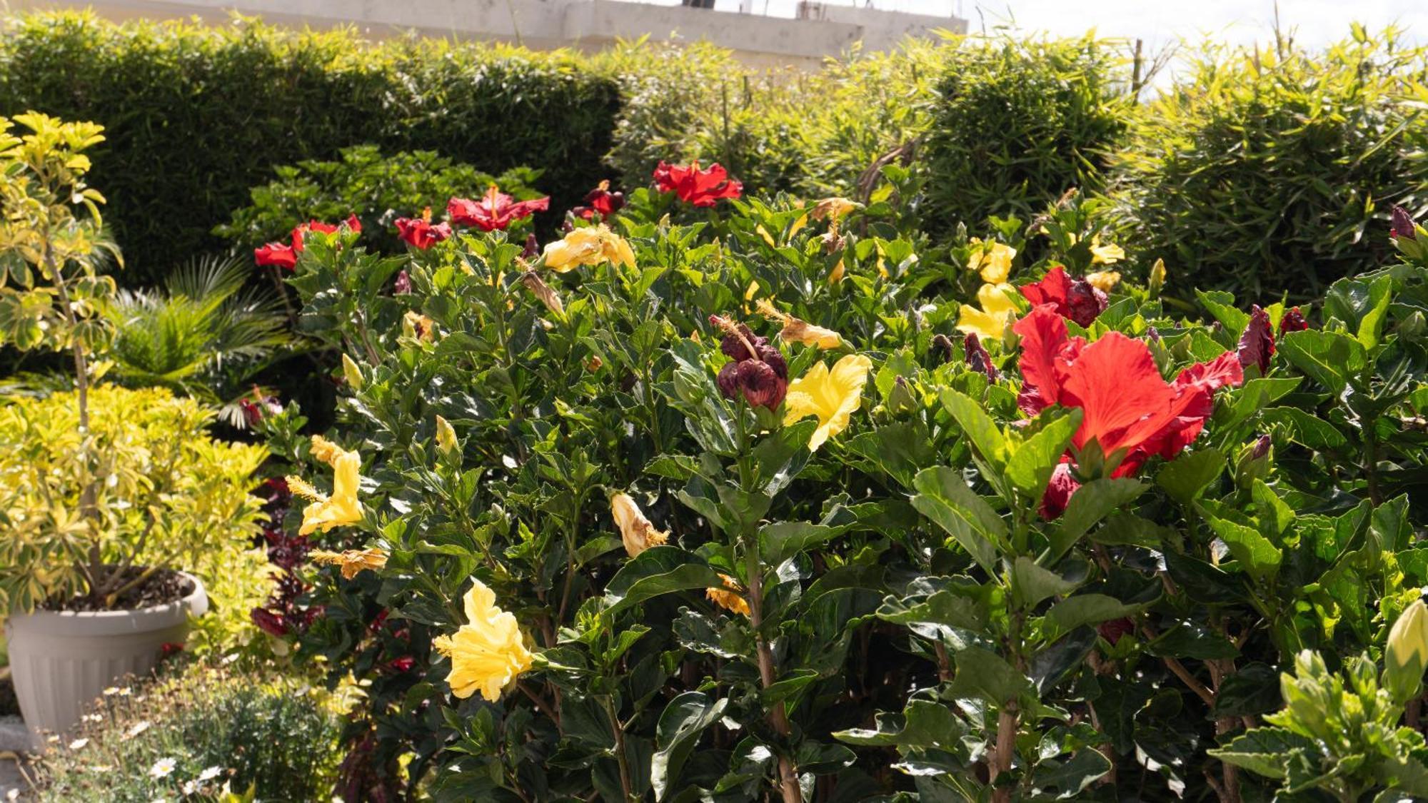 Hospedaje El Girasol Tababela Quito Eksteriør bilde